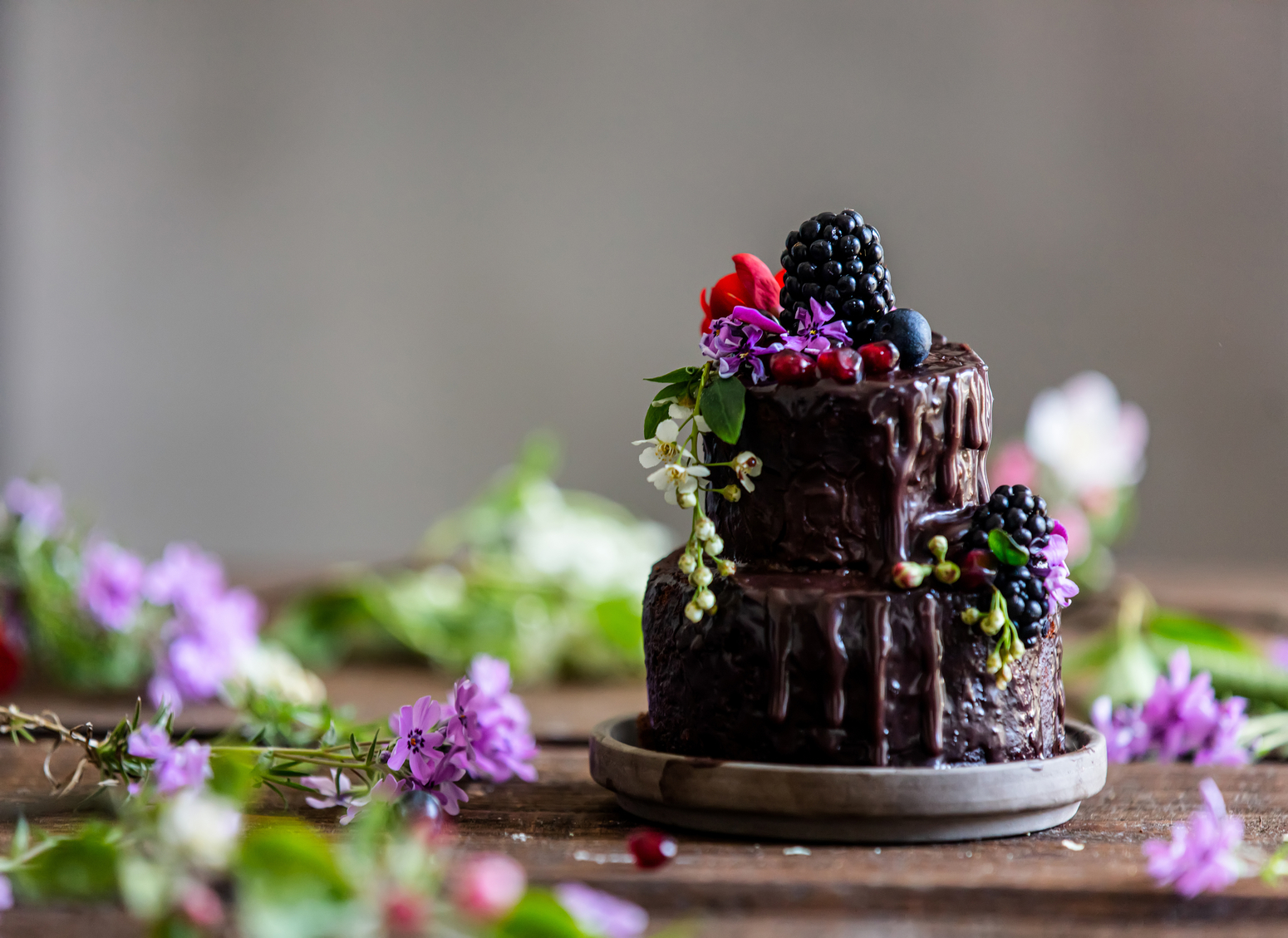 Chocolate Filigree Party Cake – Fiona's Bakery & Deli – Fort Collins, CO